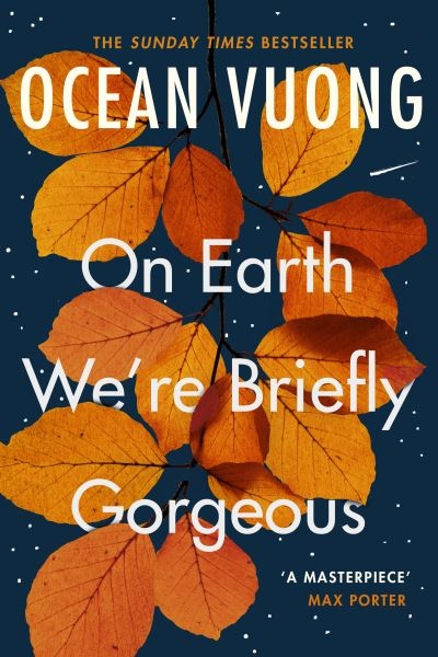 On Earth Were Briefly Gorgeous – Cuốn