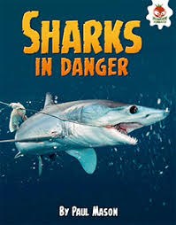 Shark……Sharks in Danger