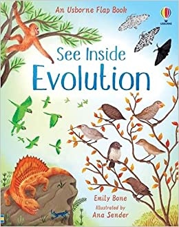 See Inside Evolution